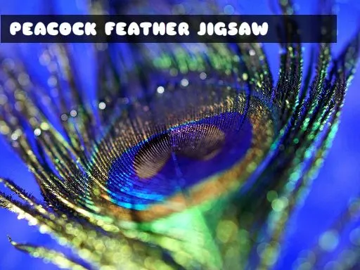 Peacock Feather Jigsaw — play free online